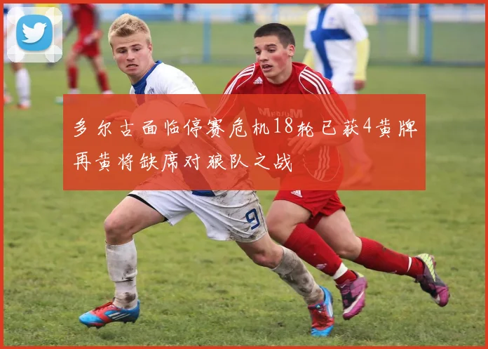 多尔古面临停赛危机18轮已获4黄牌再黄将缺席对狼队之战