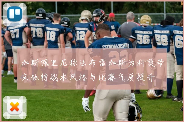 加斯佩里尼称法布雷加斯为科莫带来独特战术风格与比赛气质提升