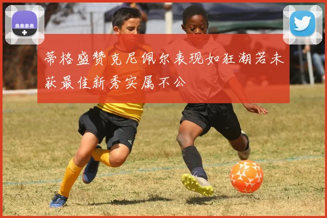 蒂格盛赞克尼佩尔表现如狂潮若未获最佳新秀实属不公