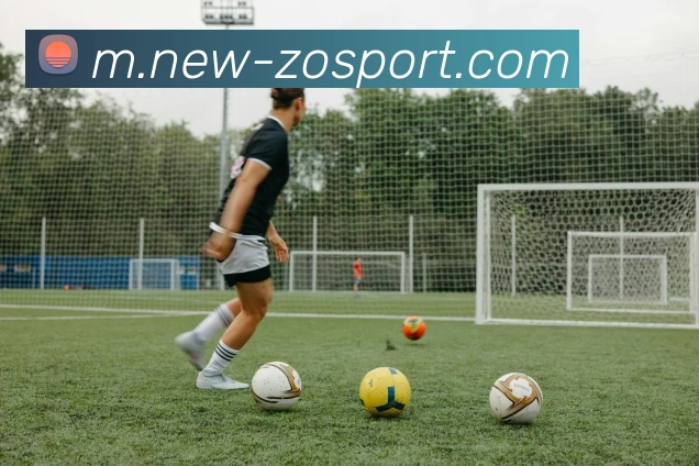 中欧足球官网平台生态图